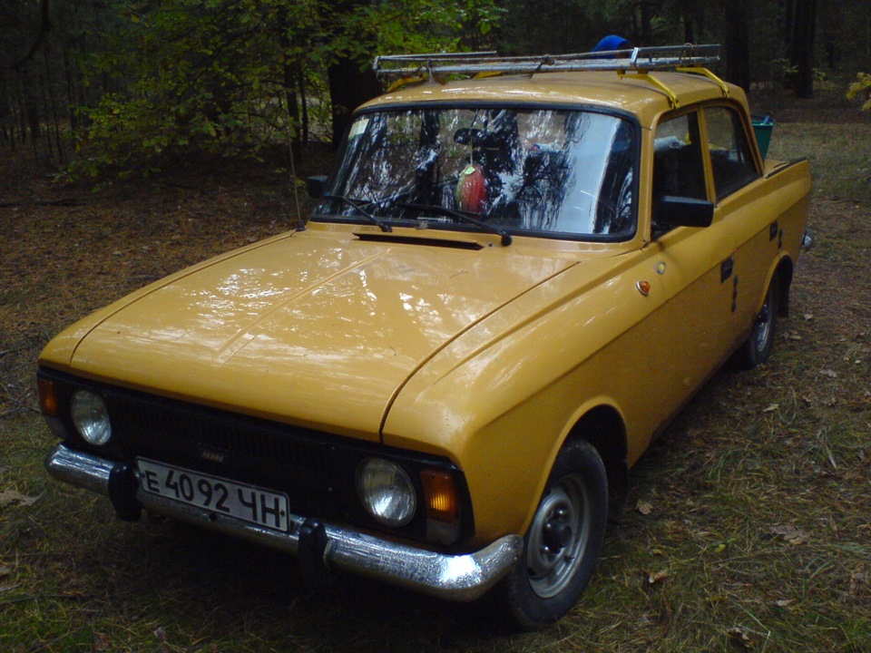 Гроза грибів 1