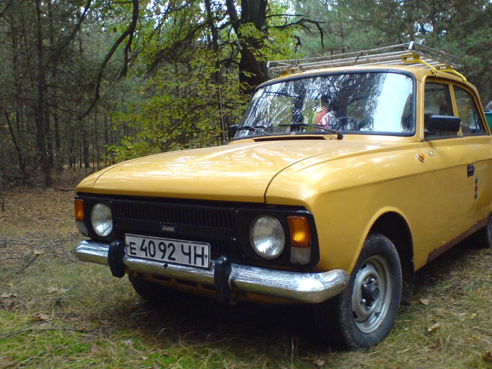 Гроза грибів 2