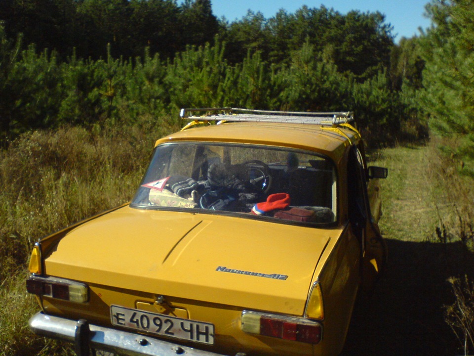 Гроза грибів 3