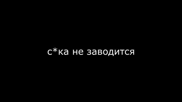 Чим давно не було записів (Анонс Рижика) 1