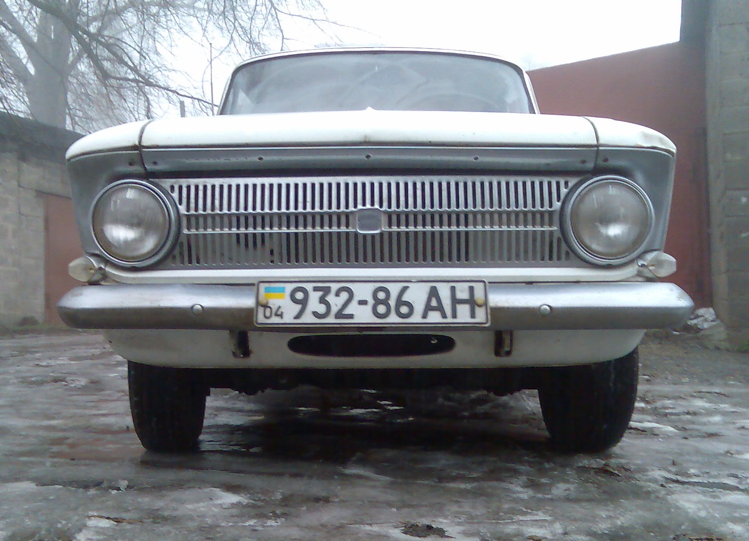 Предноворічна фотосесія (21.12.2010) 3