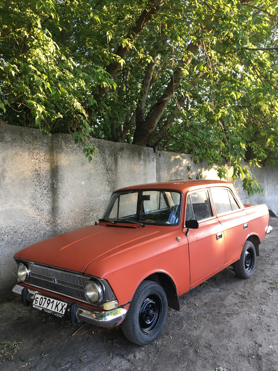 Фарбування дисків 1