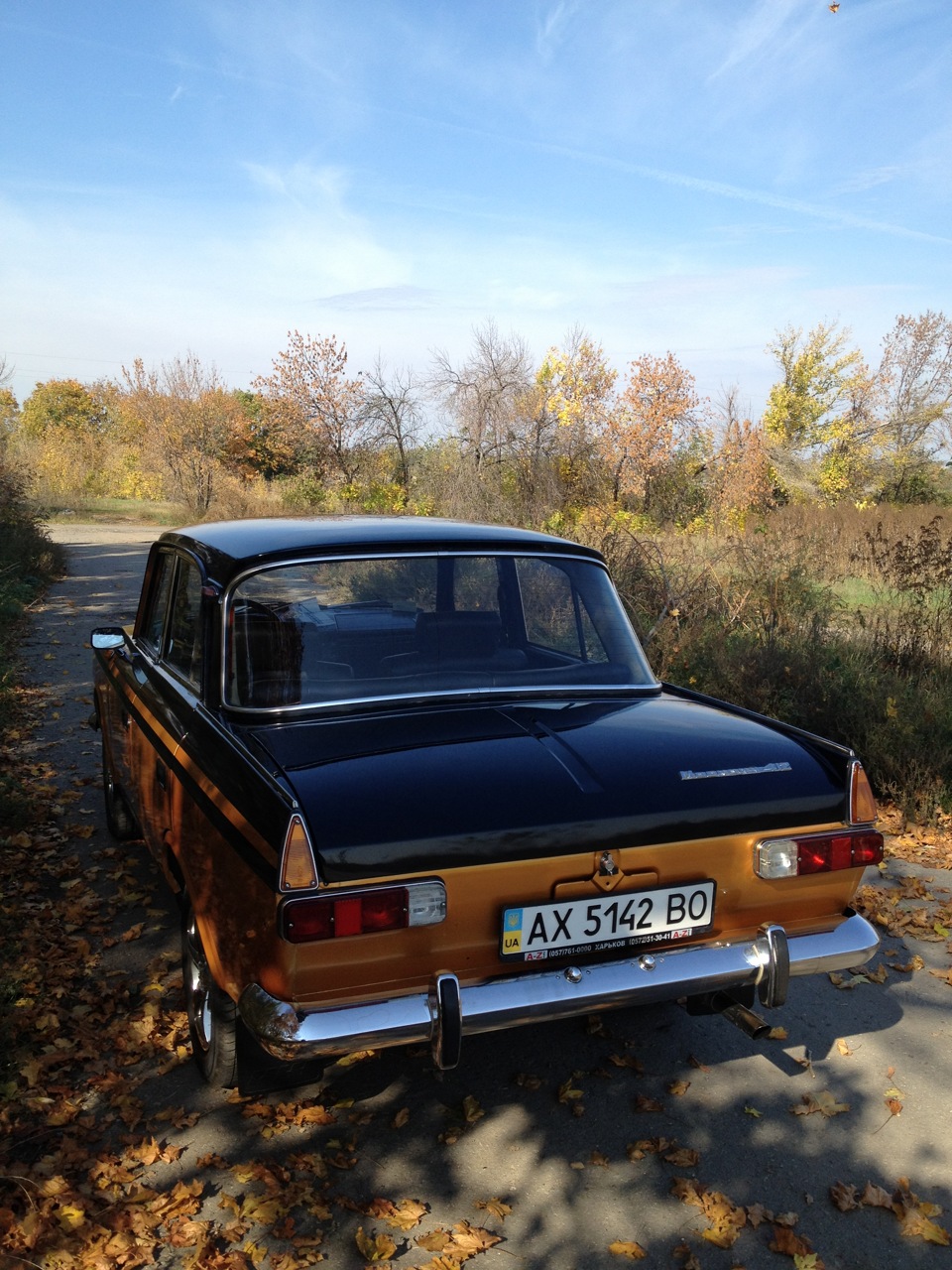 Кінець Бабиного літа, продовження. 5