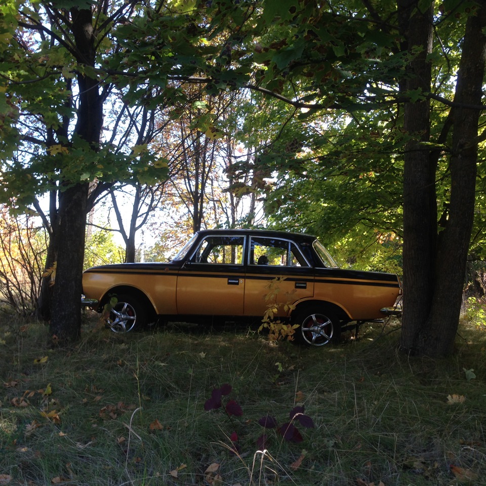 Просто фотографії 1