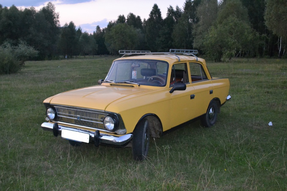 Кілька фото на природі 3