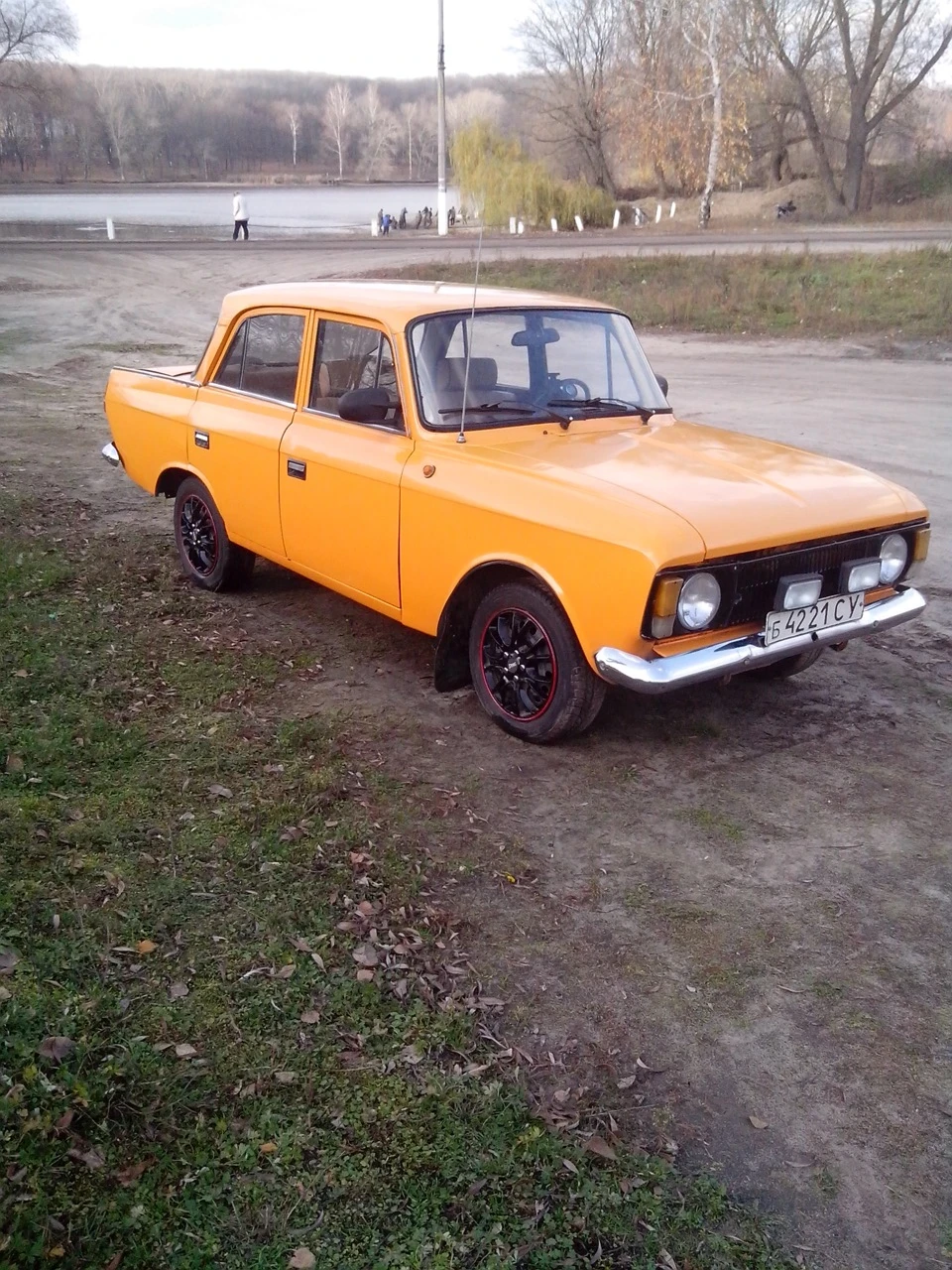 Трохи фото мого коня)