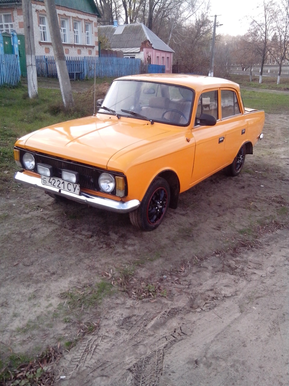 Трохи фото мого коня) 3