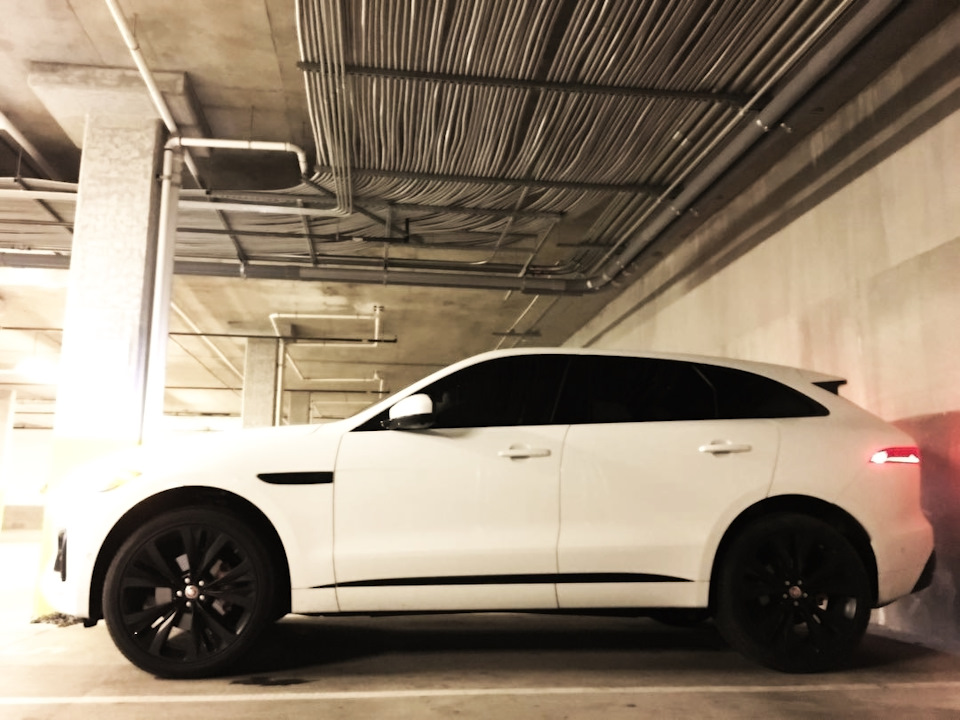 My FPACE 👍 1