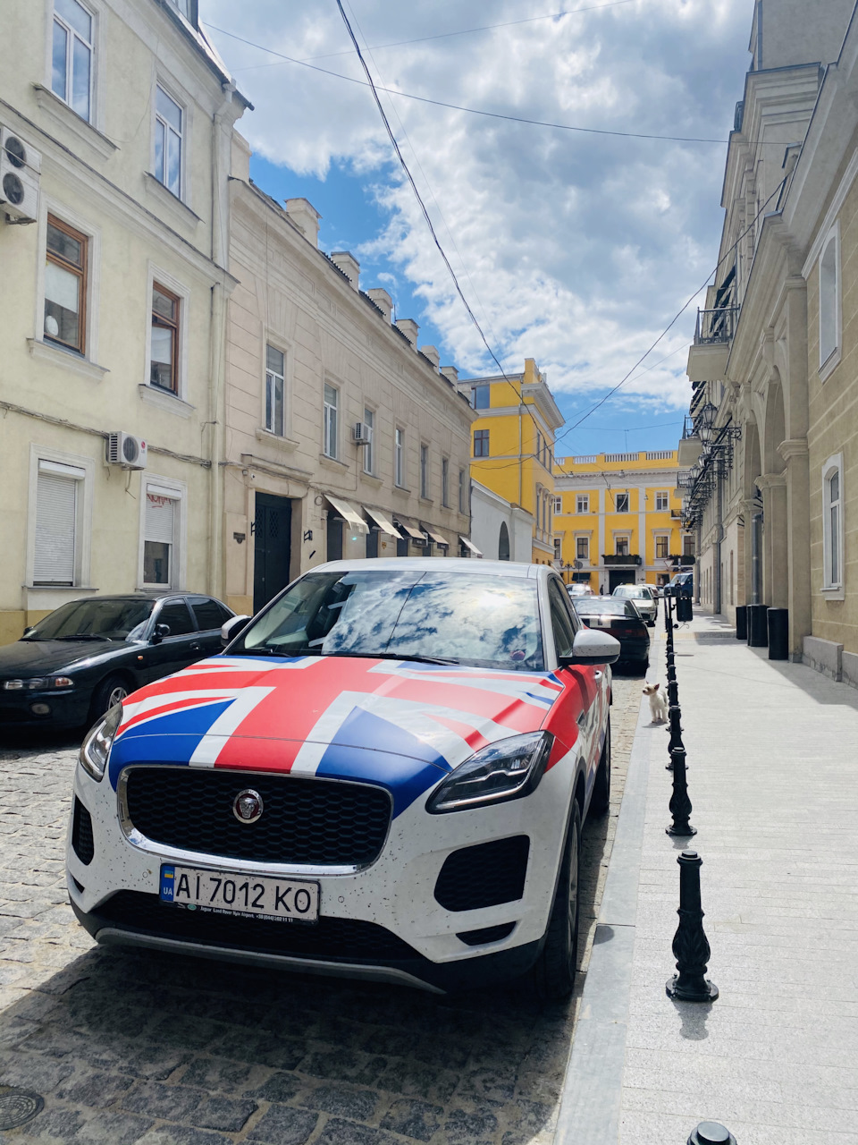 Тимчасовий котяра E-Pace😜 1