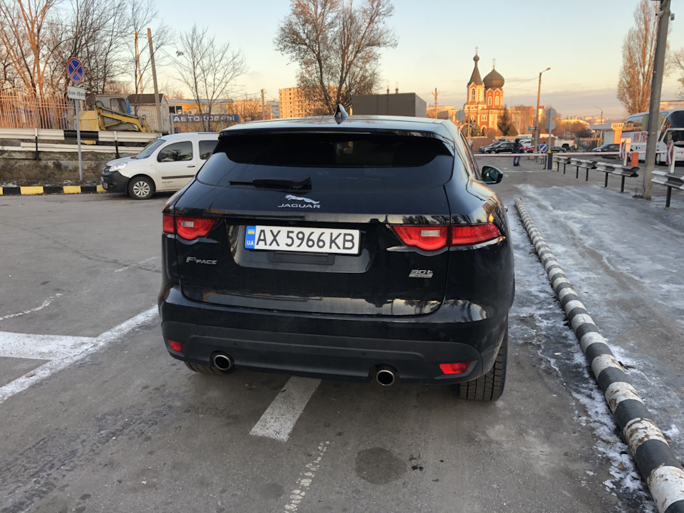 🏥 Лікування шкіри 🐆 4