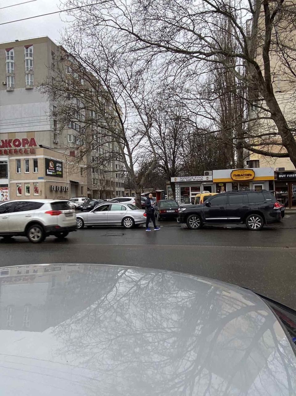 Кіт поїхав у новий будинок 5