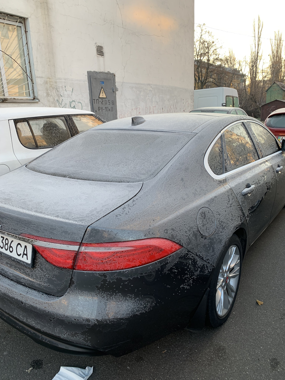 Морозна прикраса. 1
