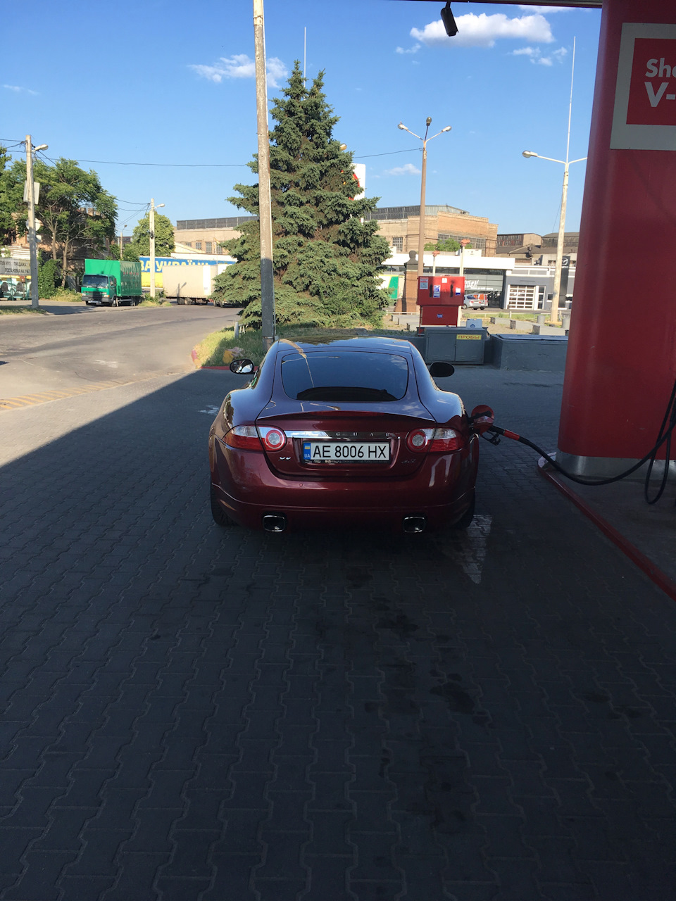 Ось ми і вдома!) 5