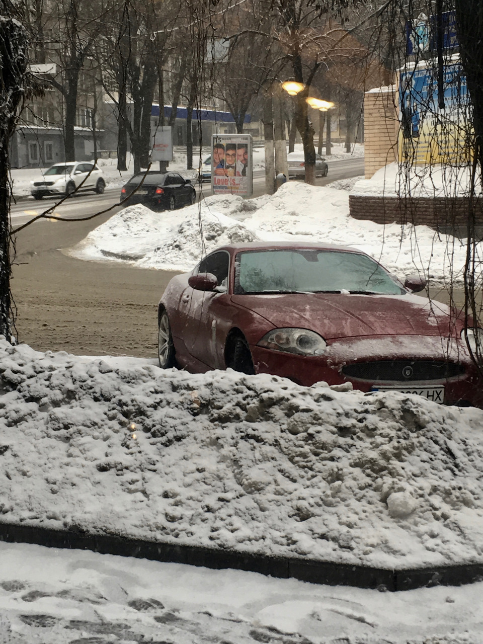 Вирвався зі снігового полону. 1