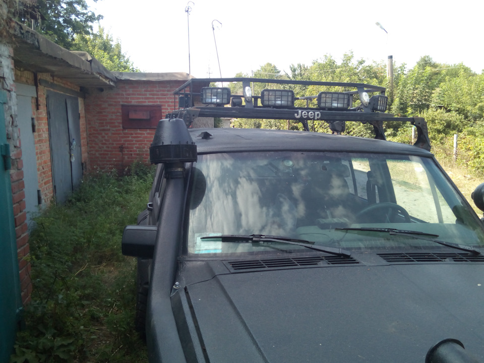 Грибок у машині, милий мій грибок. 5