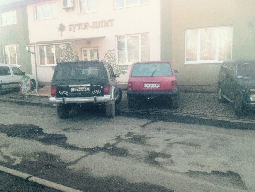 Знайшов своєму Чирку подругу:) 2