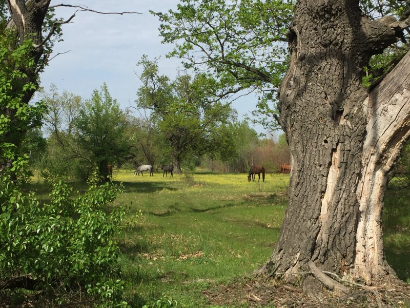Вилазки на природу 4