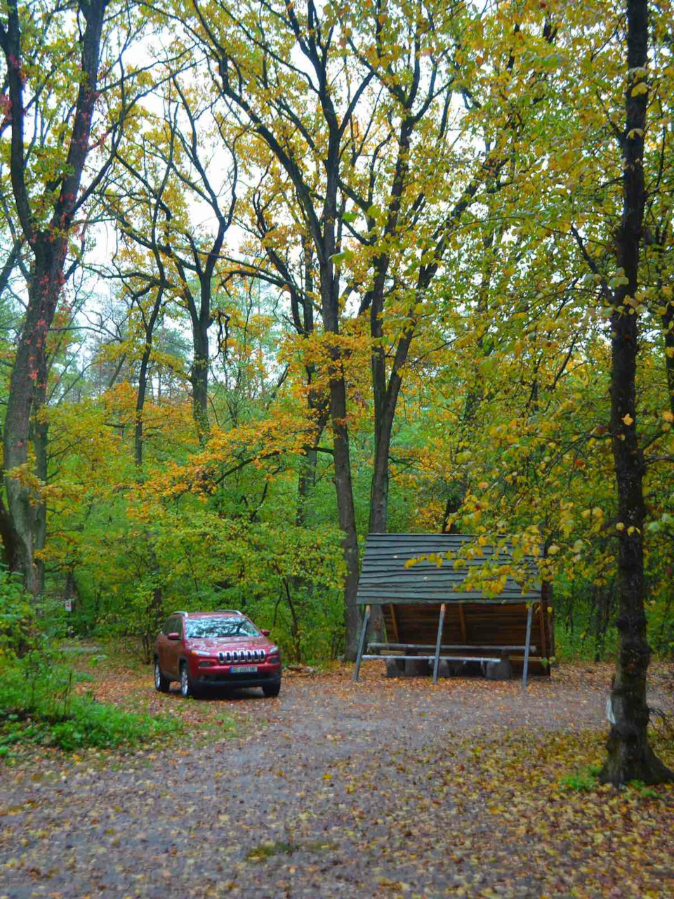 Осінь, Jeep, Я і гриби))) 2