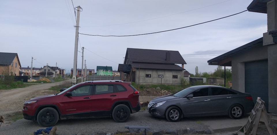 Новий член сім'ї 4
