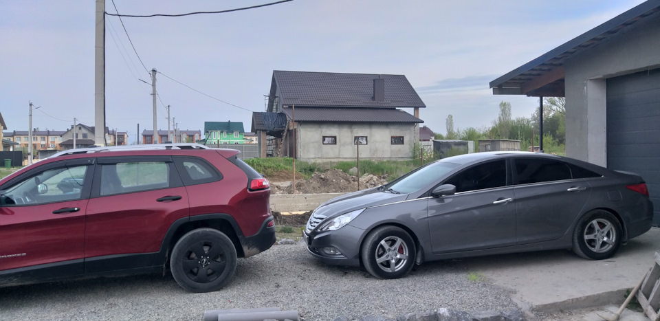 Новий член сім'ї 5