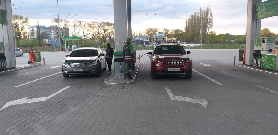 Новий член сім'ї 1