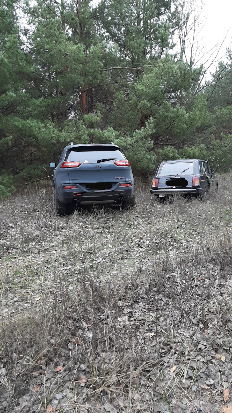 Поїздка за грибами... 1