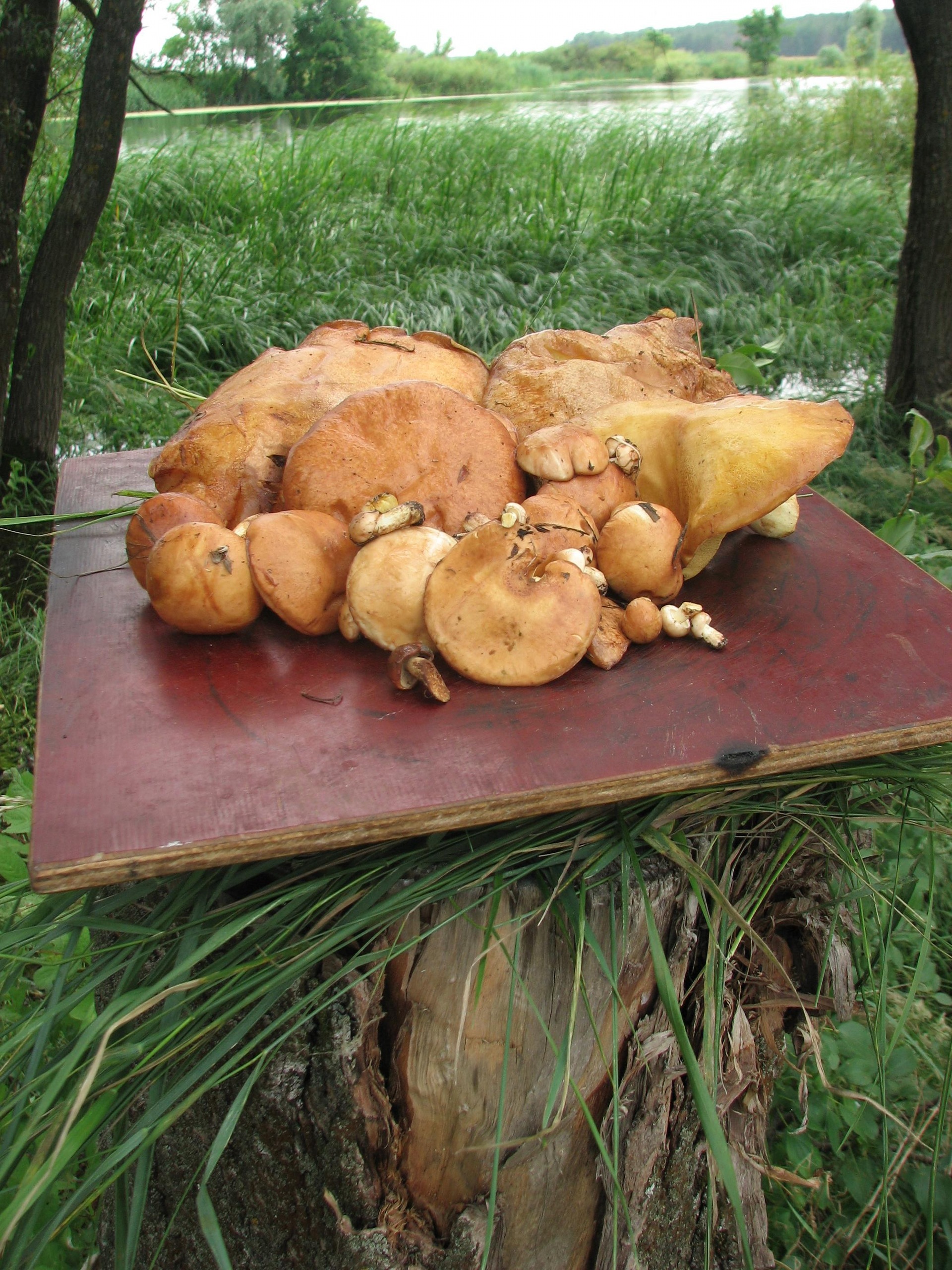 Суха субота :) Виїзд на природу. 2