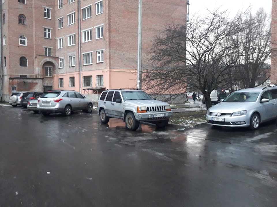 Просто пару фоток Сірого 2