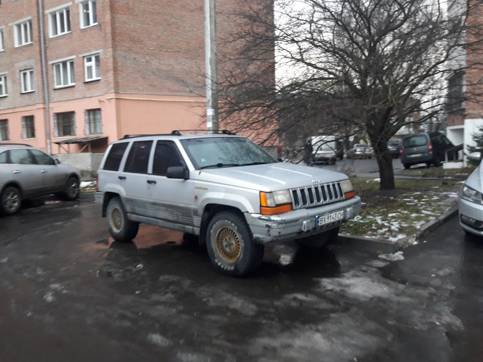 Просто пару фоток Сірого 1
