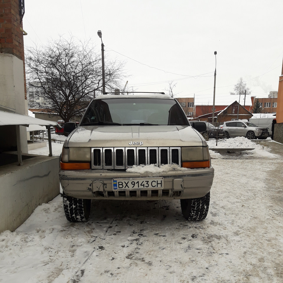 Просто пару фоток Сірого 4