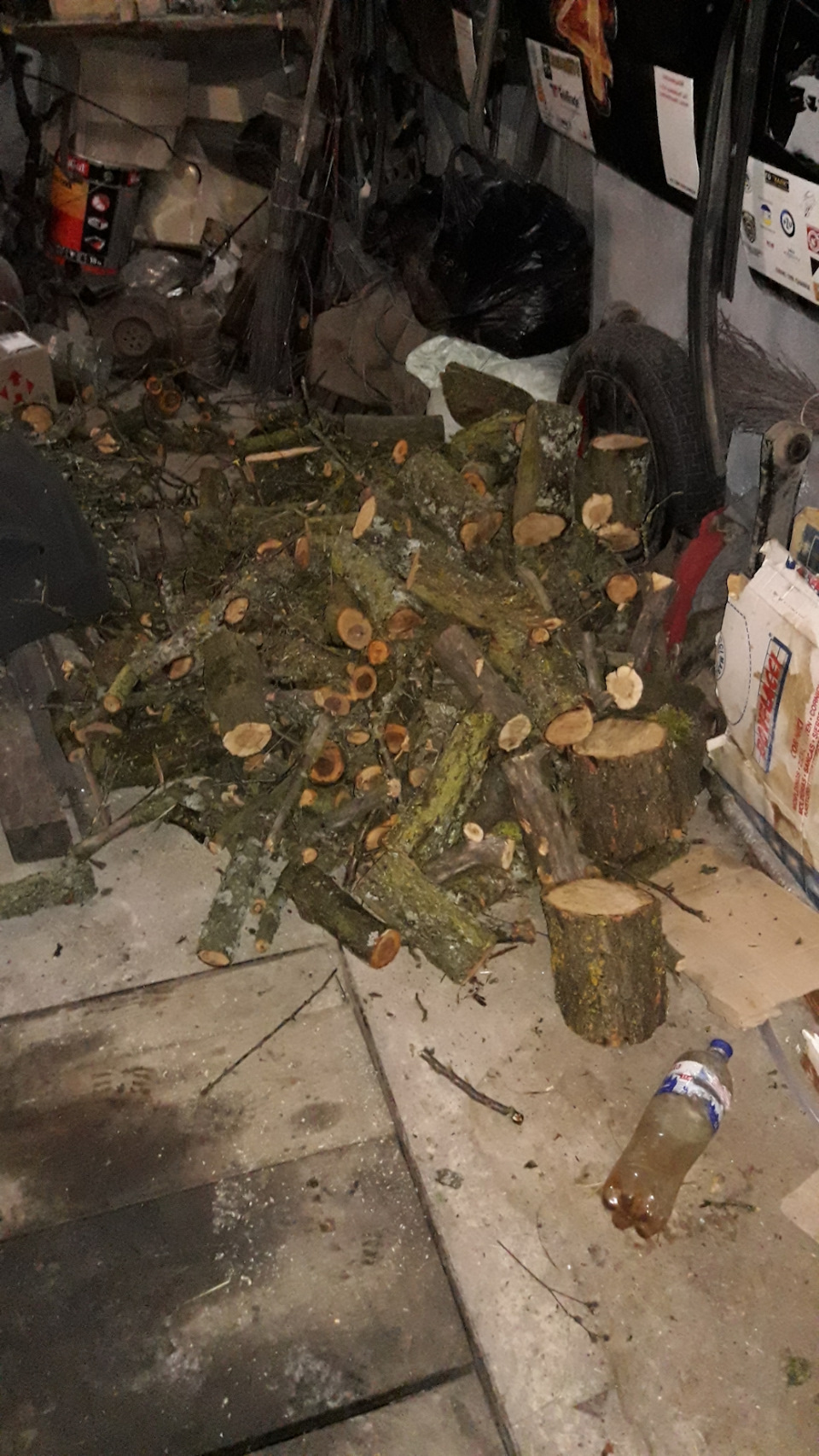 Традиція у нас є: кожен новий рік 31 грудня ми... їздимо по дрова. 5