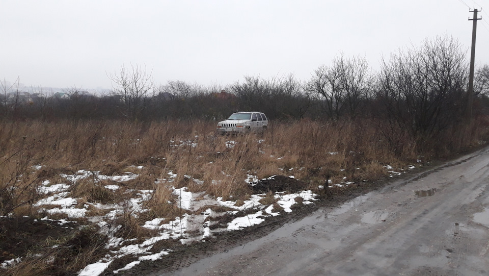 Традиція у нас є: кожен новий рік 31 грудня ми... їздимо по дрова. 1