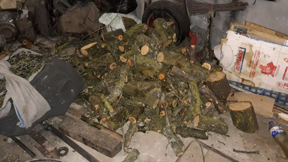 Традиція у нас є: кожен новий рік 31 грудня ми... їздимо по дрова. 4