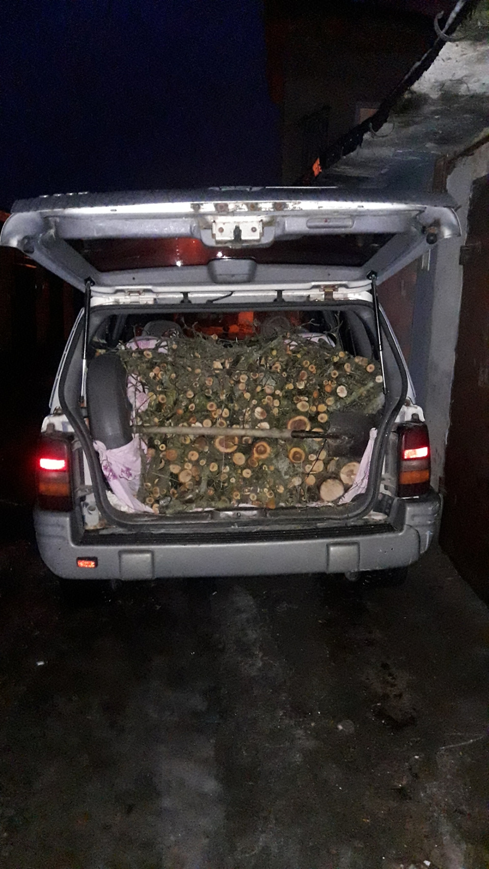 Традиція у нас є: кожен новий рік 31 грудня ми... їздимо по дрова. 3
