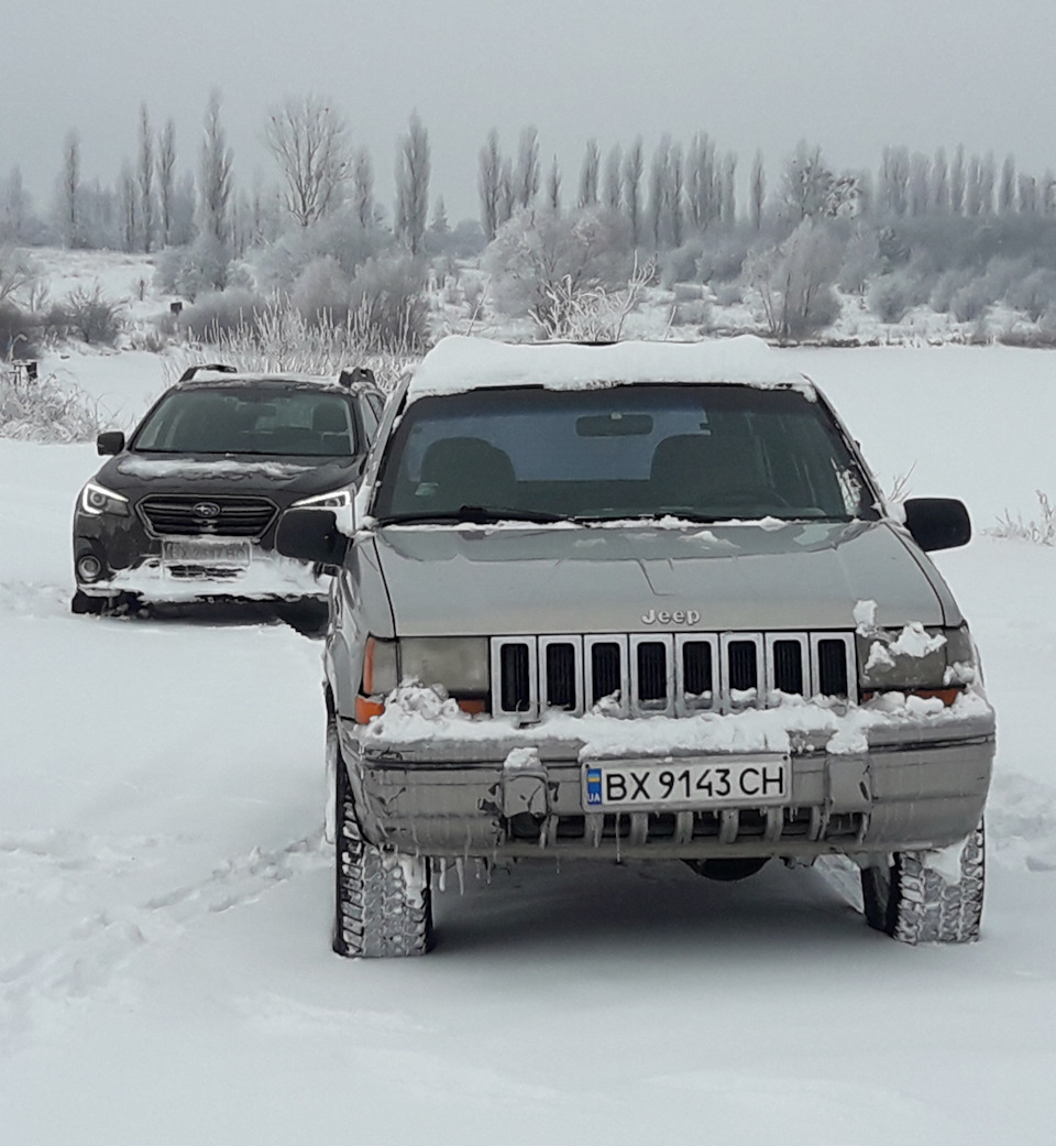 Вигуляв Сірого 1