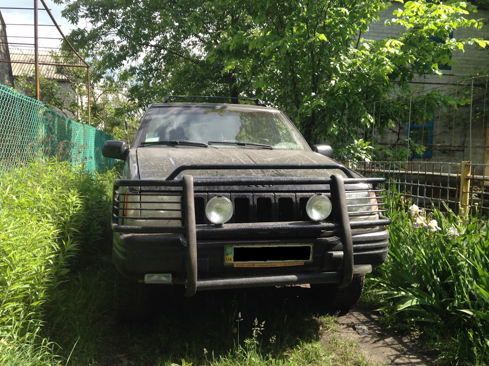 Просто пара фоток на дачі 2