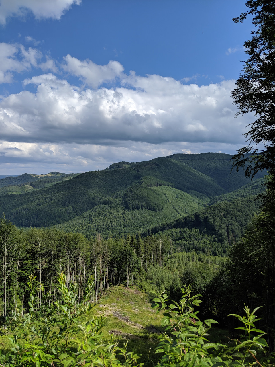 Трішки літніх карпат. Манявський водоспад: липень 2019 2