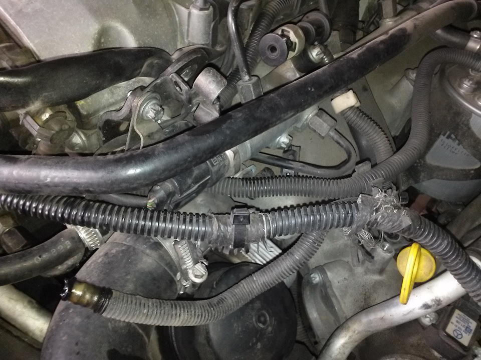 Терміново терміново! 1