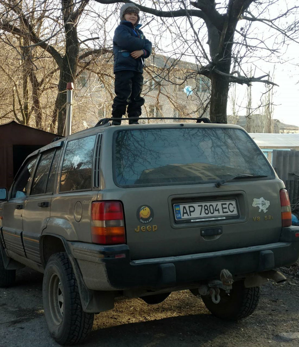 Дізнався багато чого цікавого про свого Динозавра 3