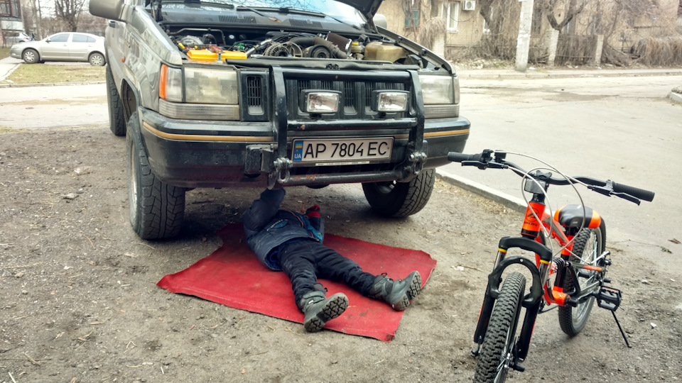 Дізнався багато чого цікавого про свого Динозавра 2