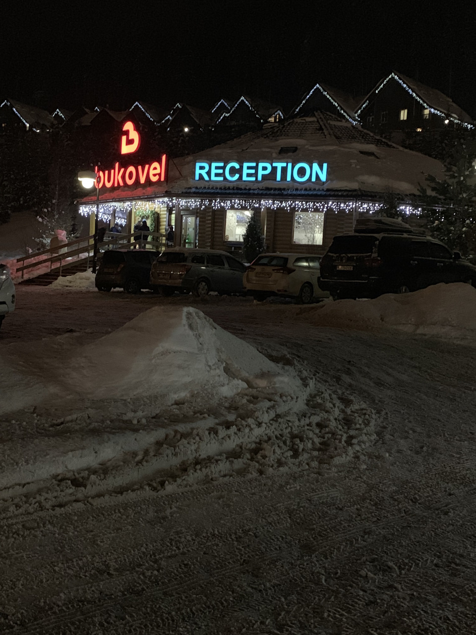 Карпати грудень 2018 2