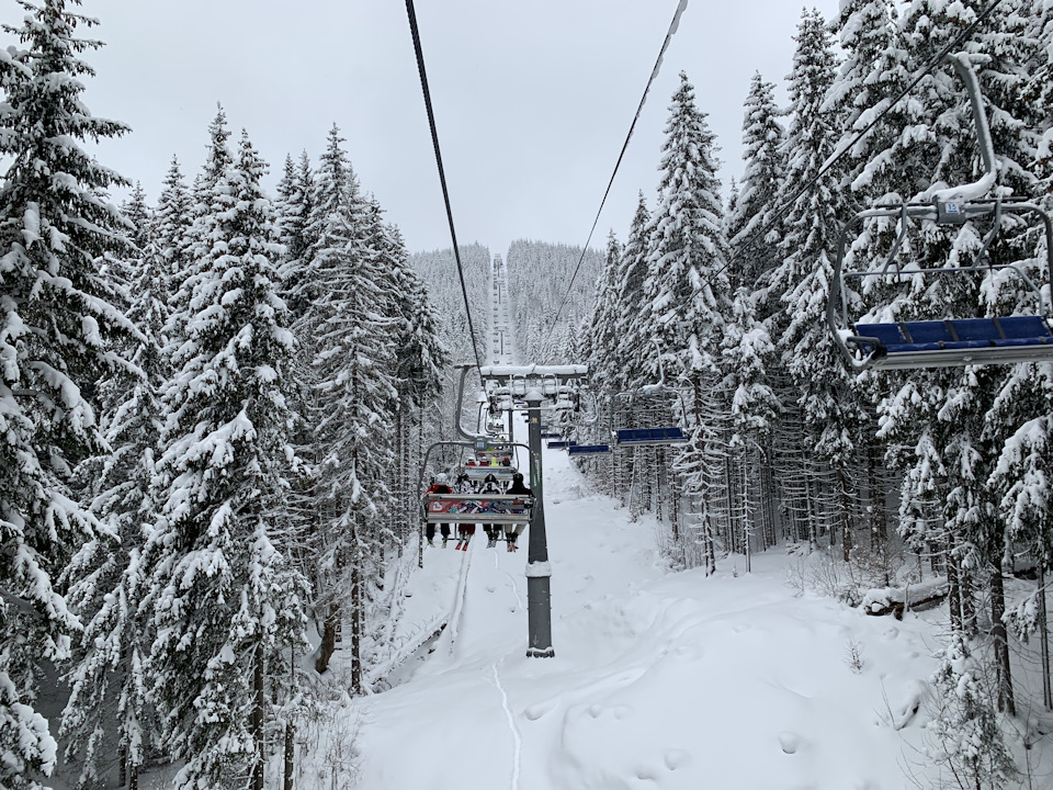 Карпати грудень 2018 4
