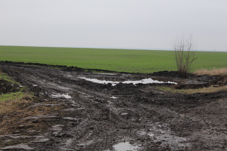 Провели новий рік 3