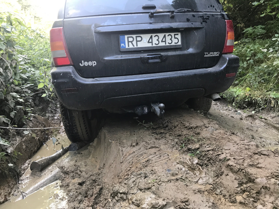 Поїздка до лісу 3