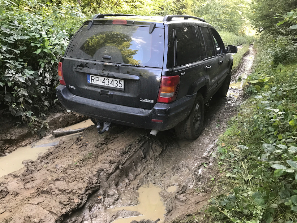 Поїздка до лісу 4