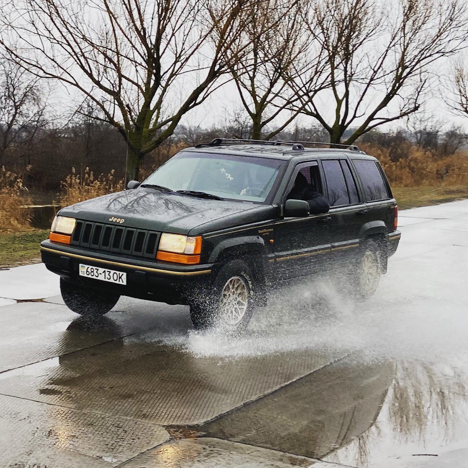 Плановий ремонт крокодила 🐊 1