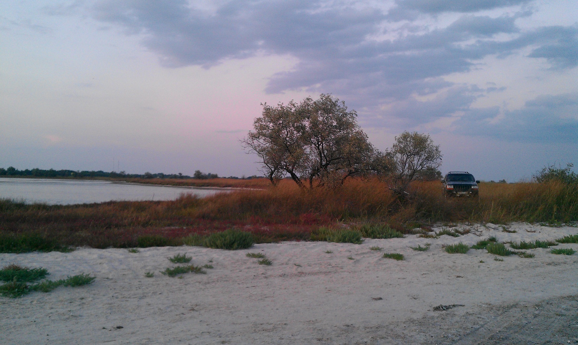 Кінбурзька коса 2011 1