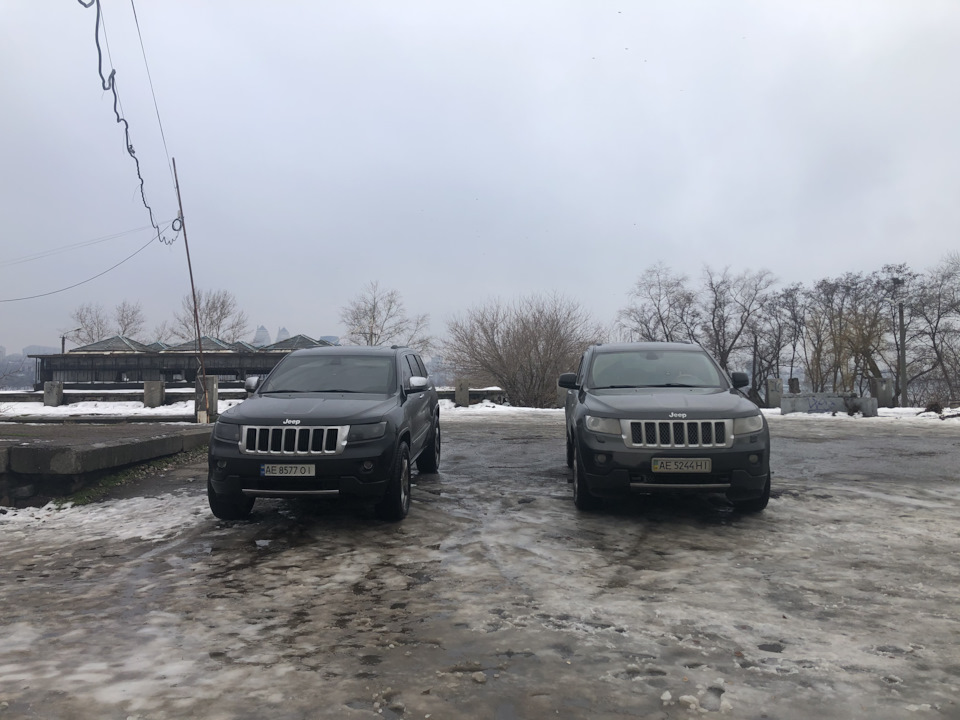 Чебурашка, який шукає друзів 😆 2