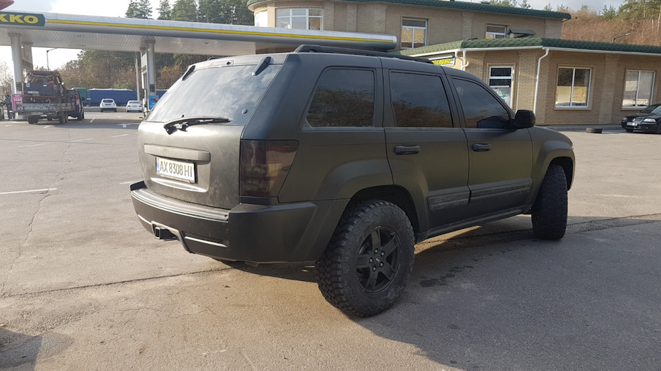 Чергова покотушка і те, що зроблено за останні 60 днів 1