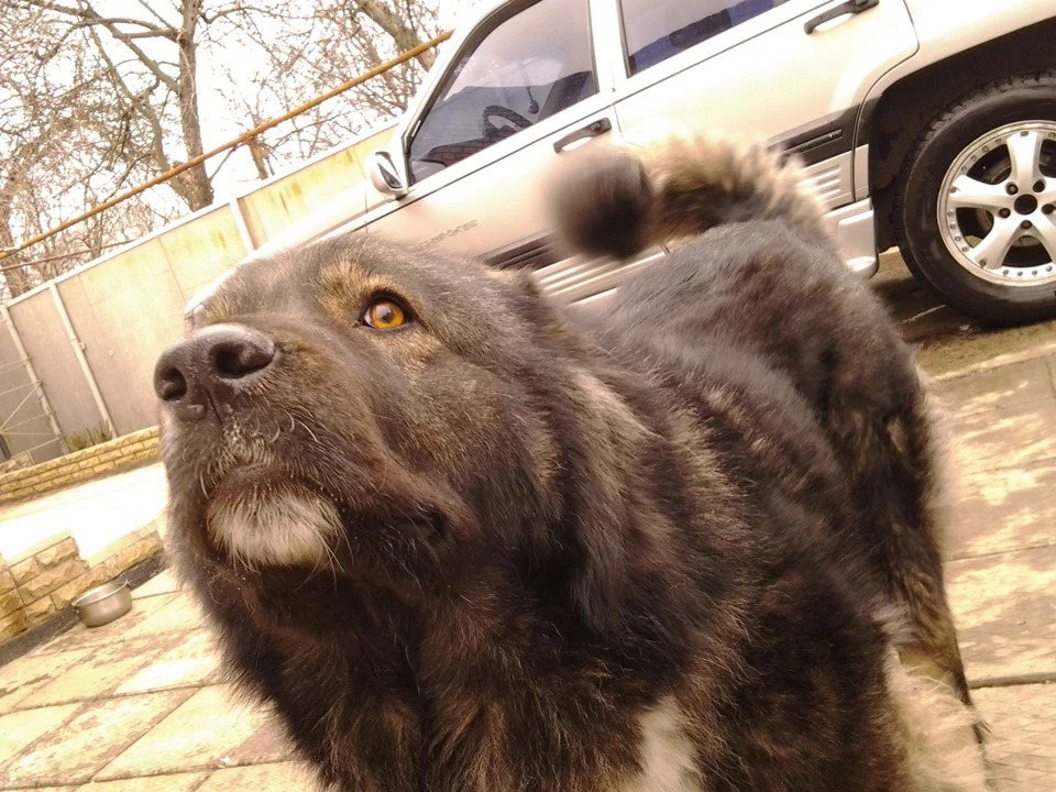 Помився)